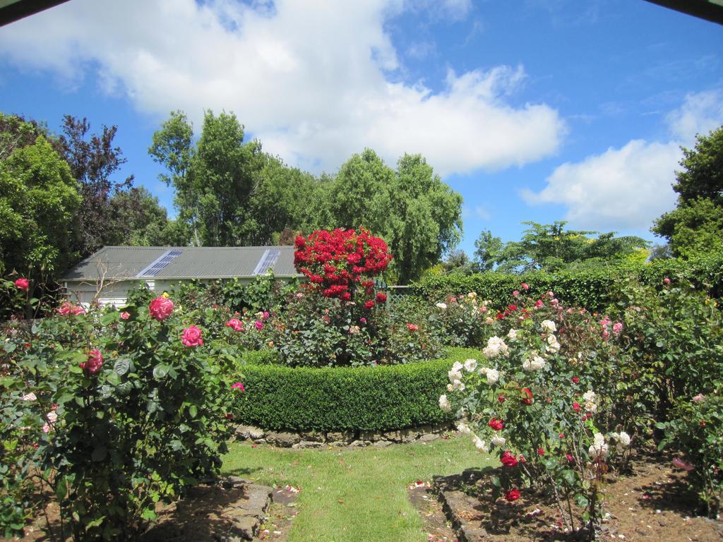 Thyme Out Estate Bed and Breakfast Halcombe Eksteriør billede