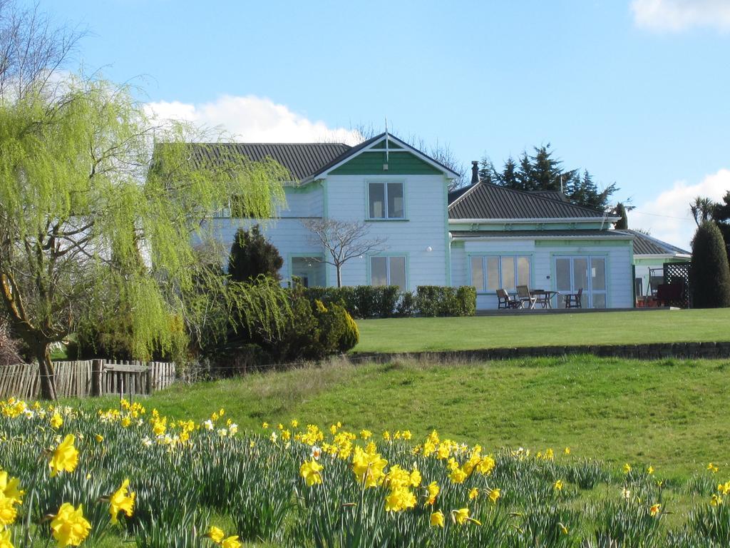 Thyme Out Estate Bed and Breakfast Halcombe Eksteriør billede